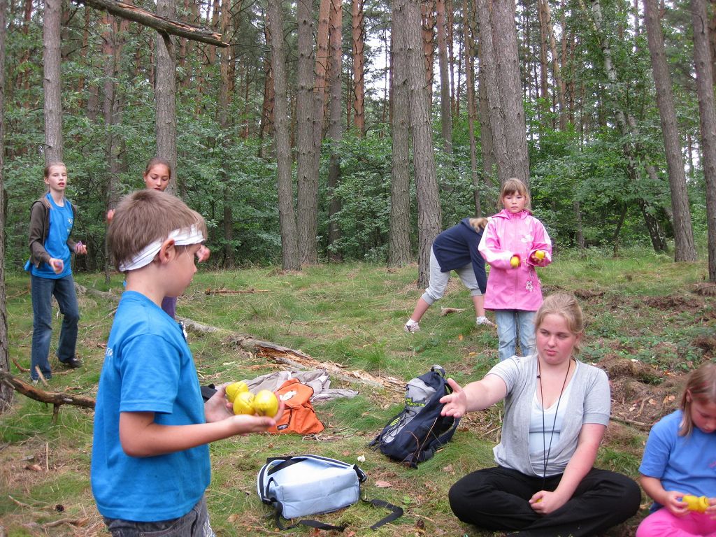 survival-training