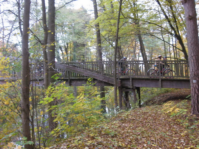 kinder auf bruecke aus holz im wald