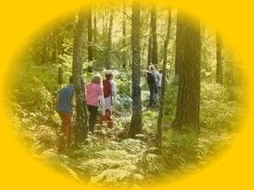 klassenfahrt kinder wandern im wald