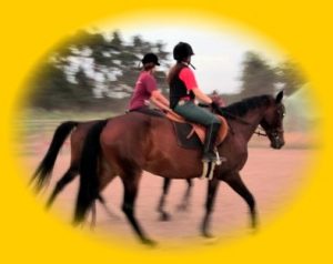 reiten 2 kinder reiten auf braunen pferden