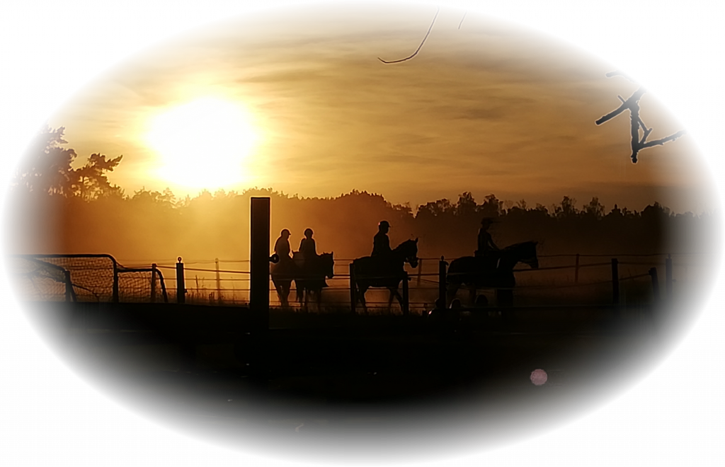 reiterferien reiten bei sonnenuntergang