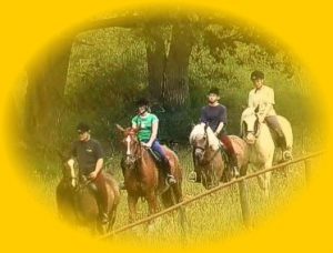 reiterferien ausflug 4 pferde mit reiter